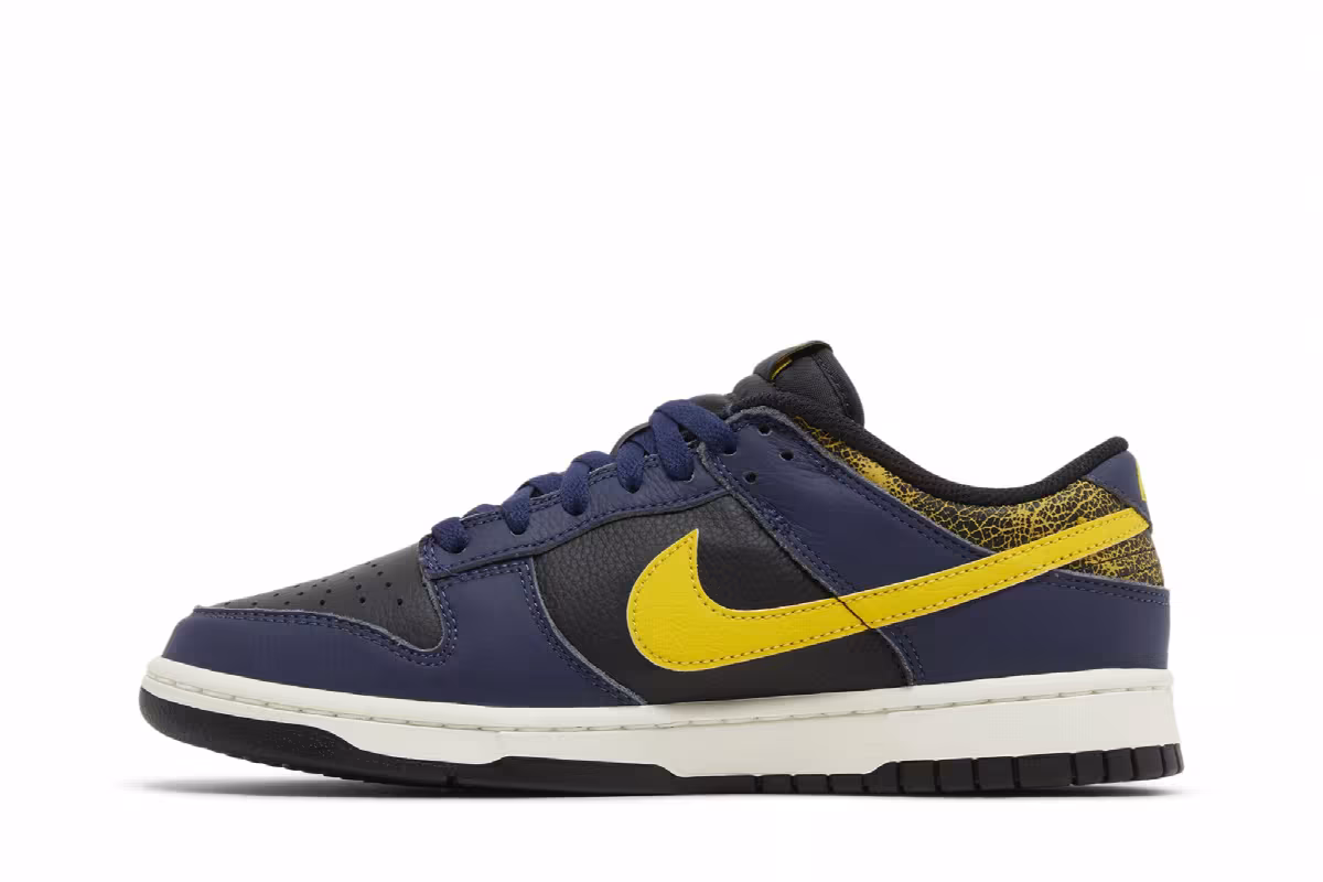 Nike Dunk Low Vintage Michigan, view 4