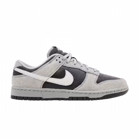 Nike Dunk Low 'Light Smoke Grey Anthracite'