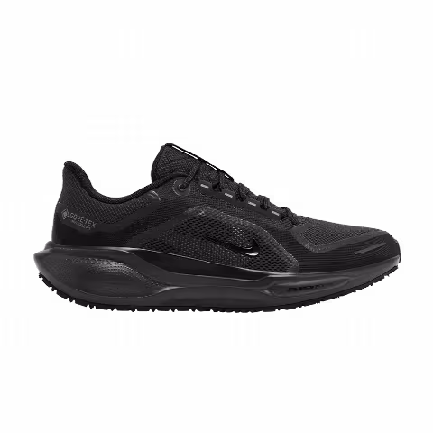 Nike Air Zoom Pegasus 41 GORE-TEX 'Black Anthracite'