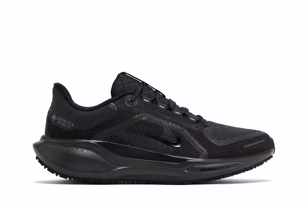 Nike Air Zoom Pegasus 41 GORE-TEX Black Anthracite, view 2