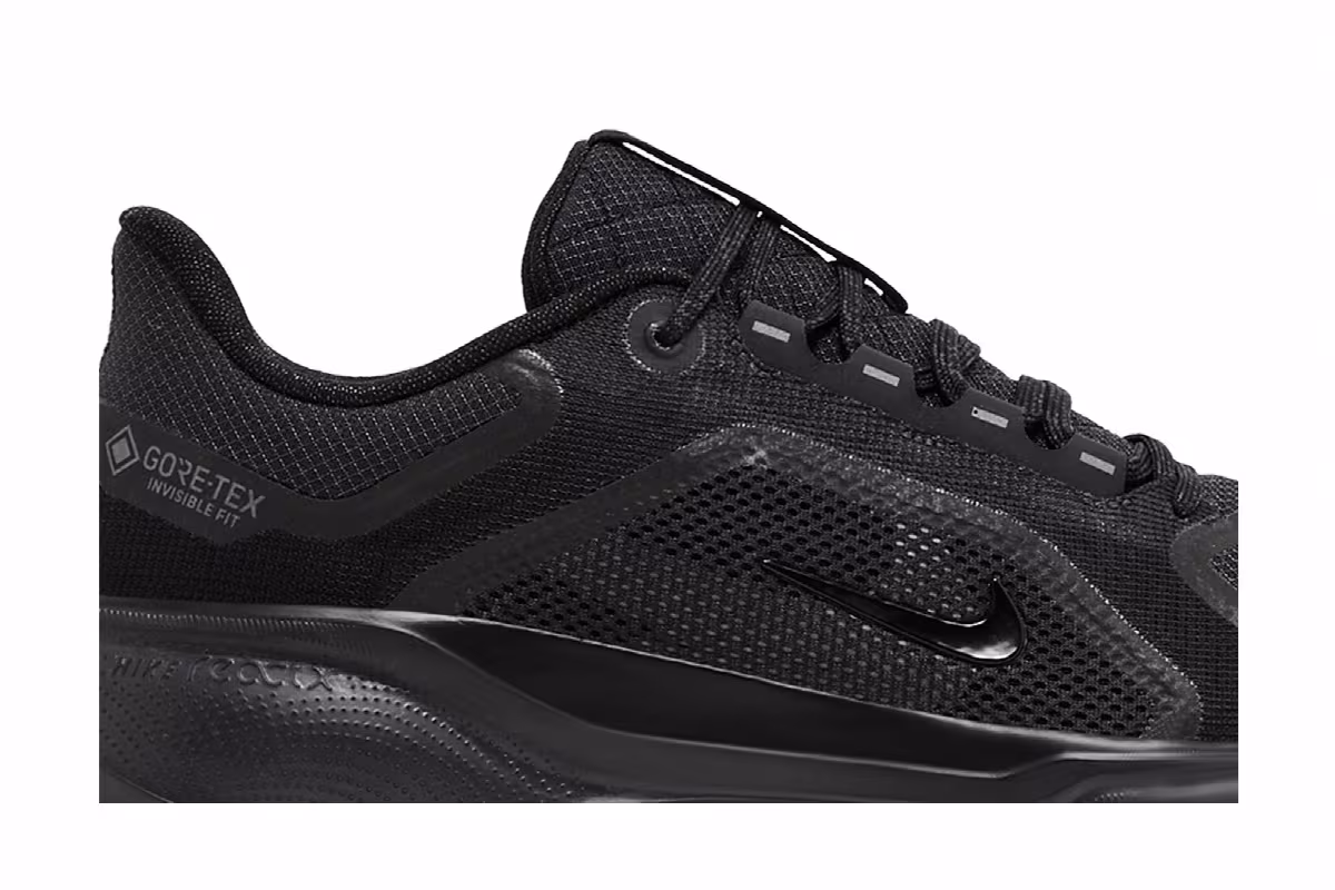 Nike Air Zoom Pegasus 41 GORE-TEX Black Anthracite, view 3