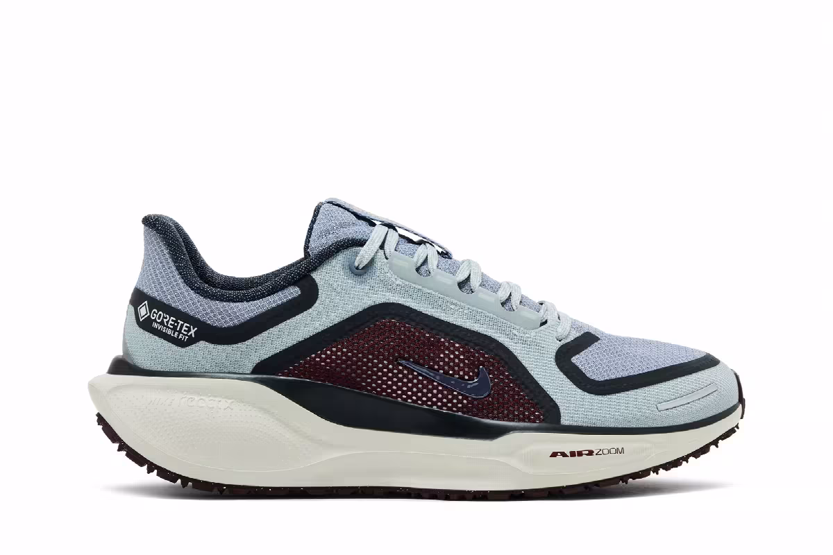 Nike Air Zoom Pegasus 41 GORE-TEX Light Pumice Burgundy Crush, view 2