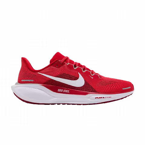 Nike Air Zoom Pegasus 41 'Ohio State'