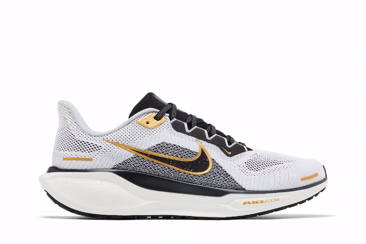 Nike Air Zoom Pegasus 41 Light Smoke Grey Metallic Gold, view 2