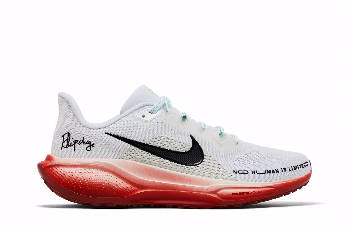 Eliud Kipchoge x Nike Air Zoom Pegasus 41 It's Just The Start, view 2