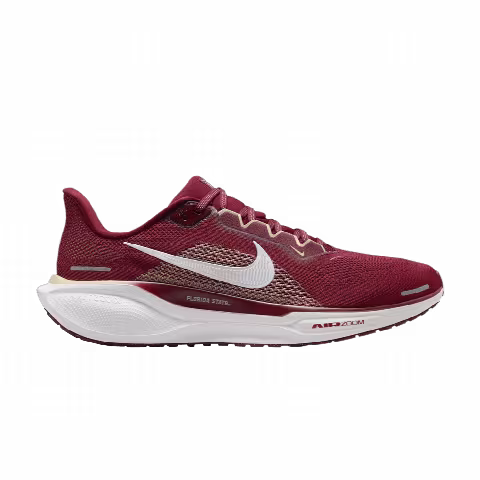 Nike Air Zoom Pegasus 41 'Florida State'