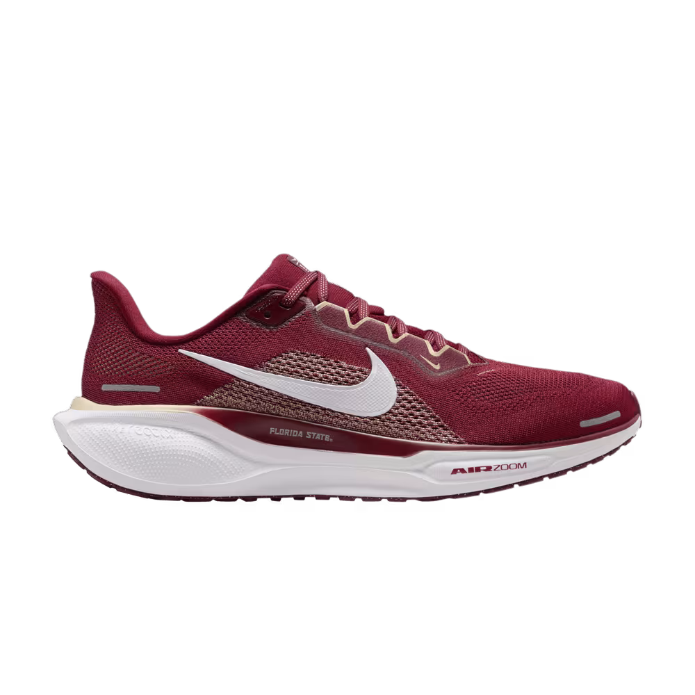 Nike Air Zoom Pegasus 41 Florida State