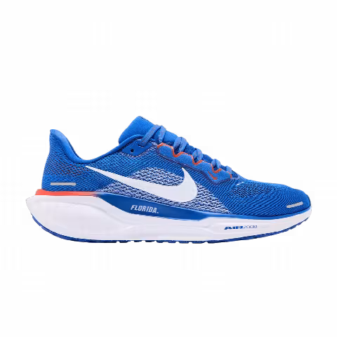 Nike Air Zoom Pegasus 41 'Florida'