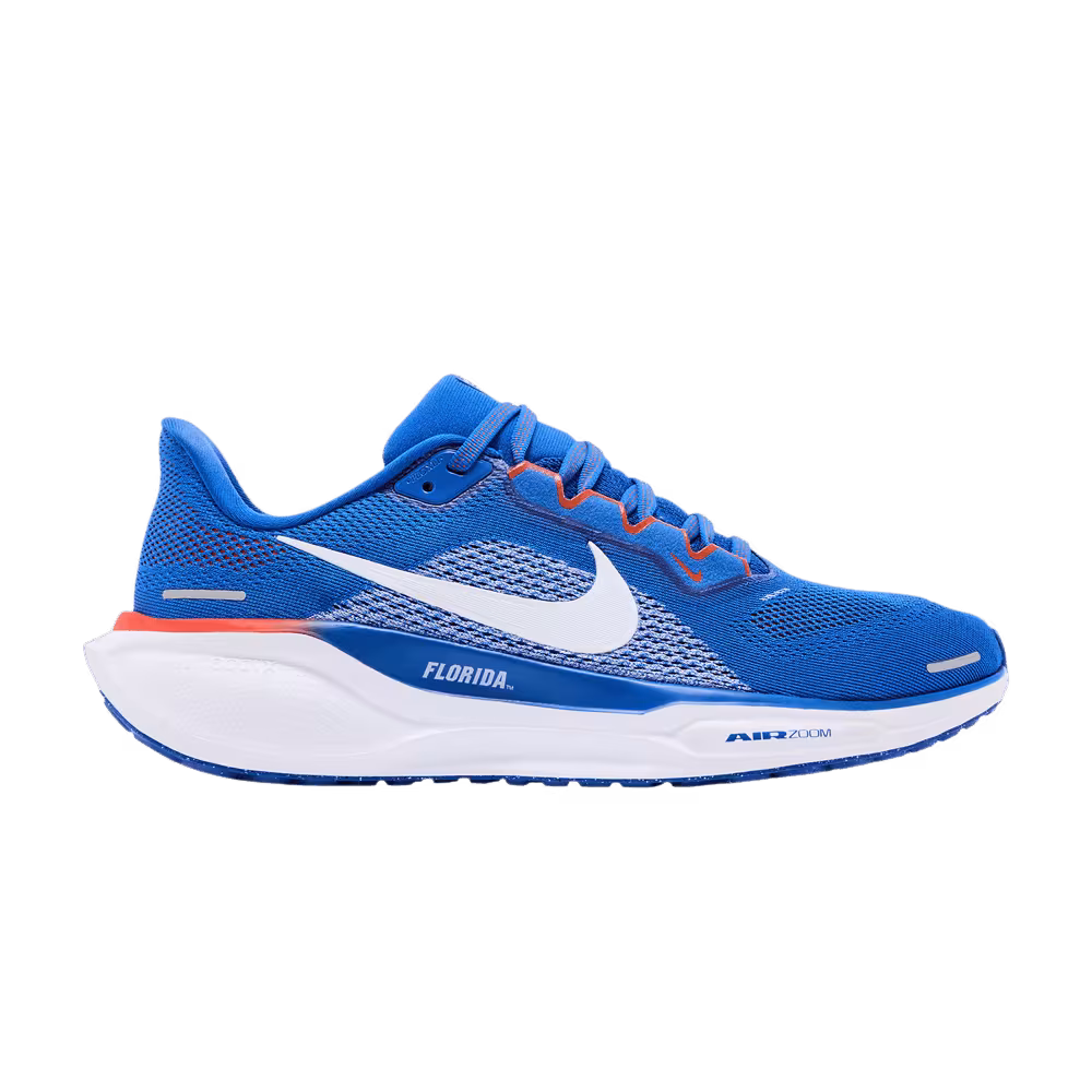 Nike Air Zoom Pegasus 41 Florida