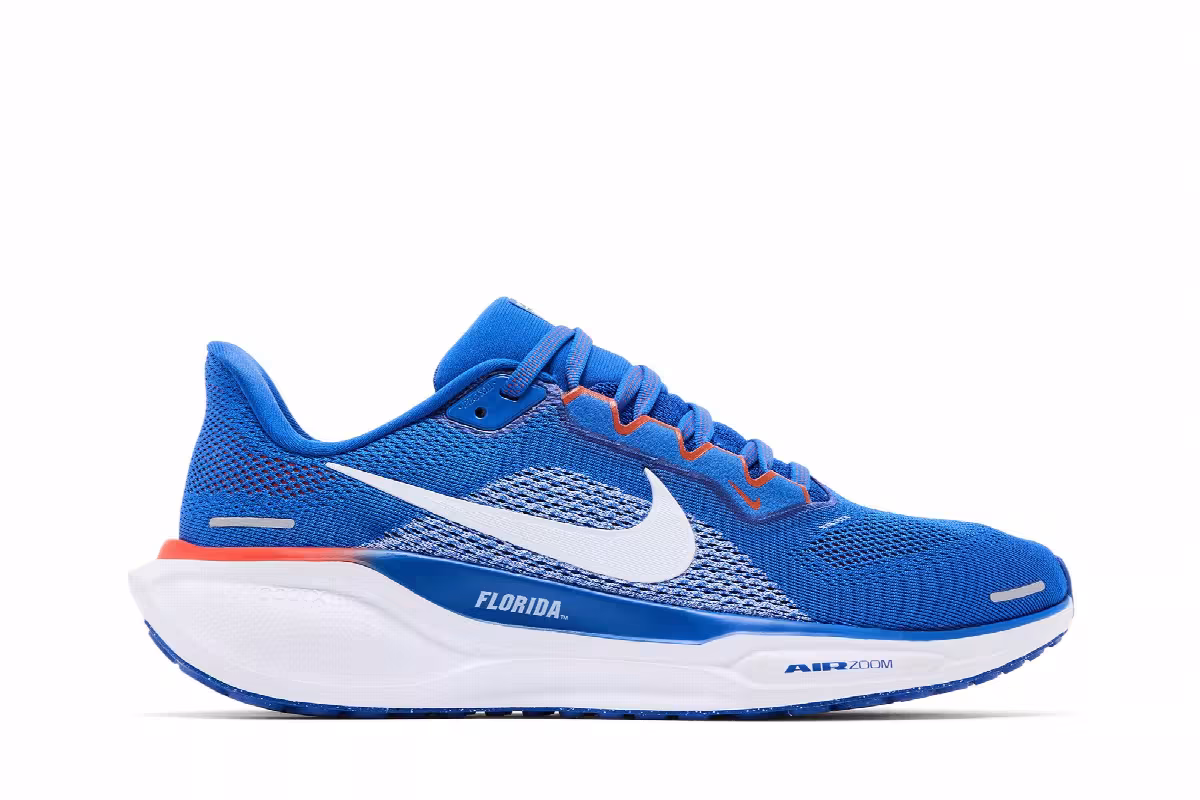 Nike Air Zoom Pegasus 41 Florida, view 2
