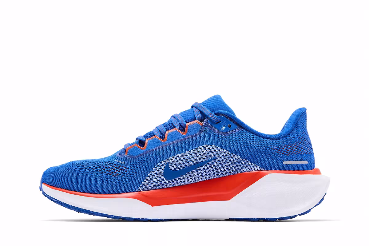 Nike Air Zoom Pegasus 41 Florida, view 4