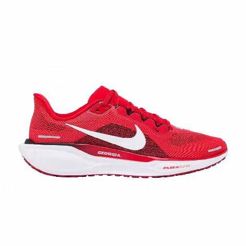 Nike Air Zoom Pegasus 41 'Georgia 2024'