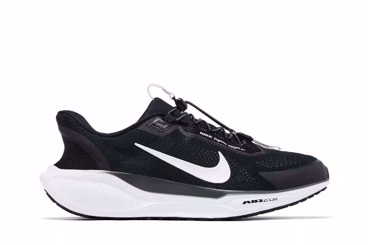 Nike Air Zoom Pegasus 41 EasyOn Black Photon Dust White, view 2