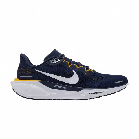 Nike Air Zoom Pegasus 41 'Michigan'