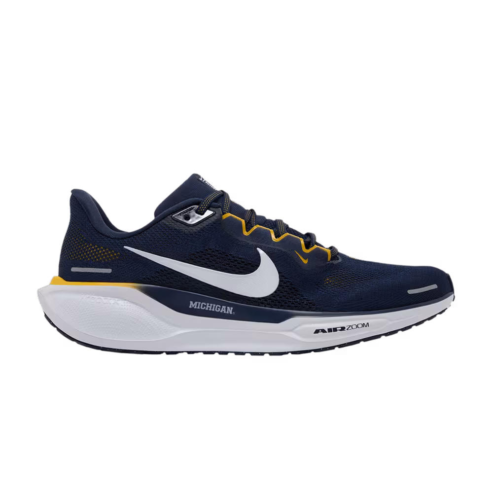 Nike Air Zoom Pegasus 41 Michigan