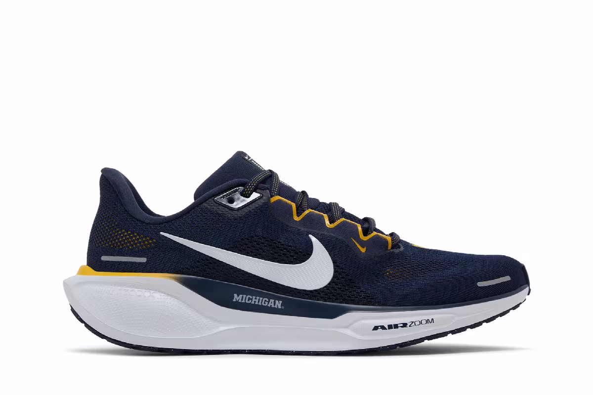Nike Air Zoom Pegasus 41 Michigan, view 2