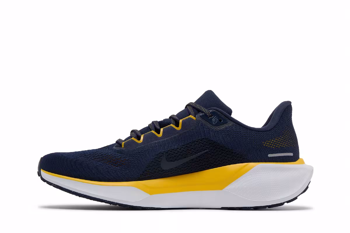 Nike Air Zoom Pegasus 41 Michigan, view 4