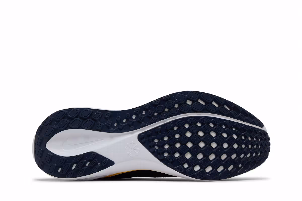Nike Air Zoom Pegasus 41 Michigan, view 5
