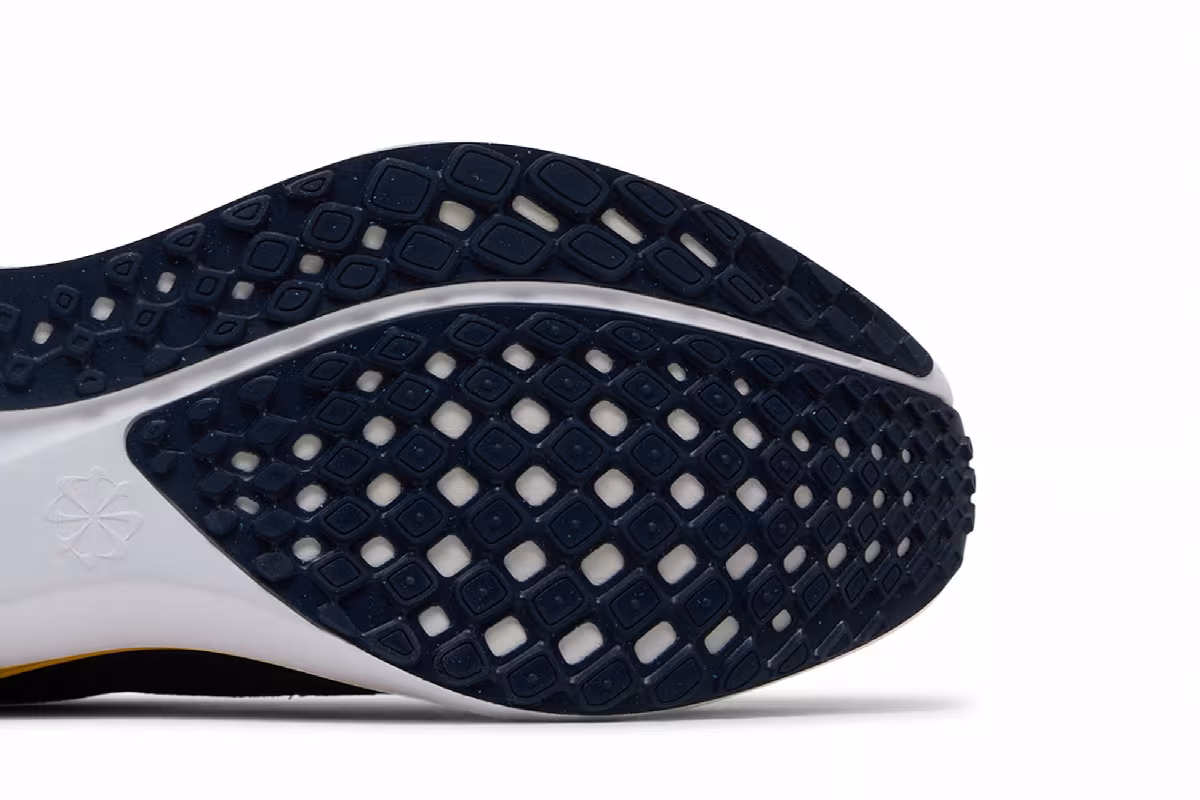 Nike Air Zoom Pegasus 41 Michigan, view 6