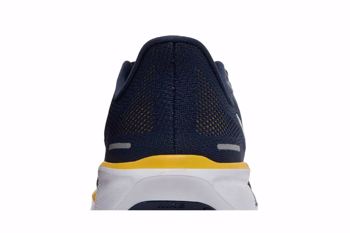 Nike Air Zoom Pegasus 41 Michigan, view 8