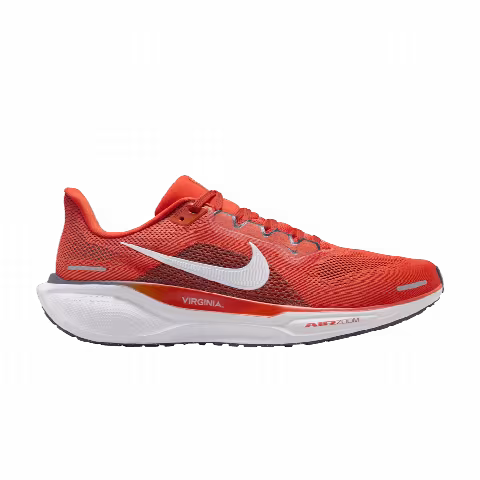 Nike Air Zoom Pegasus 41 'Virginia'