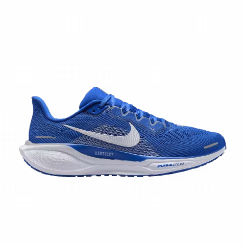 Nike Air Zoom Pegasus 41 'Kentucky'