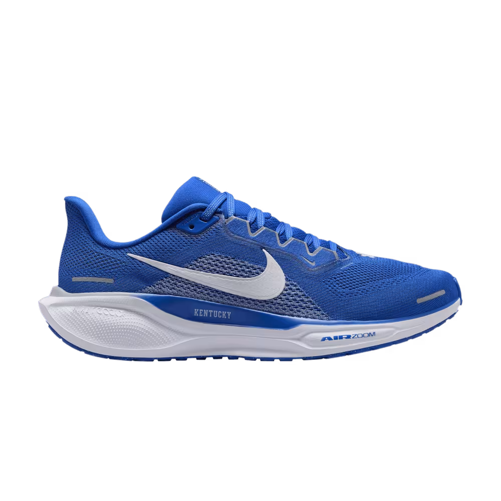 Nike Air Zoom Pegasus 41 Kentucky