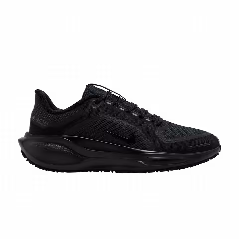 Nike Wmns Air Zoom Pegasus 41 GORE-TEX 'Black Anthracite'
