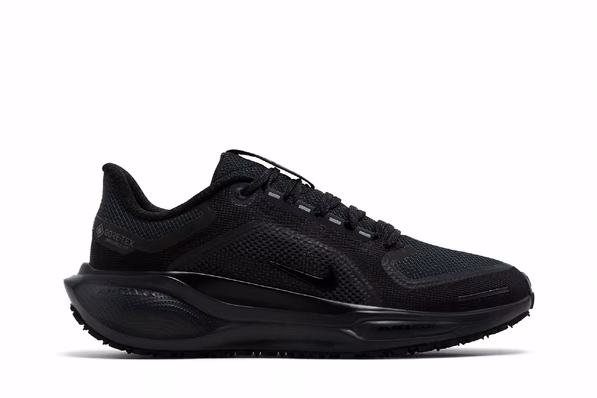 Nike Women's Air Zoom Pegasus 41 GORE-TEX Black Anthracite, view 2
