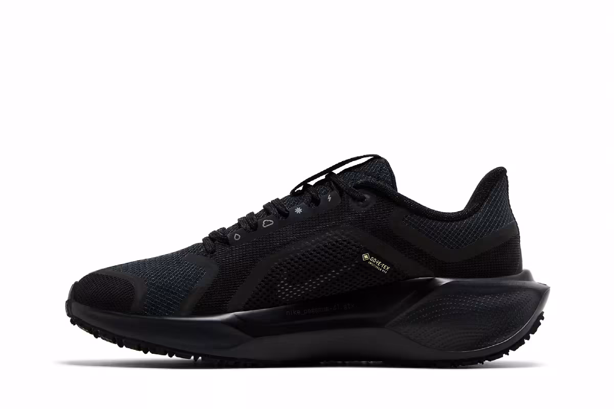 Nike Women's Air Zoom Pegasus 41 GORE-TEX Black Anthracite, view 4