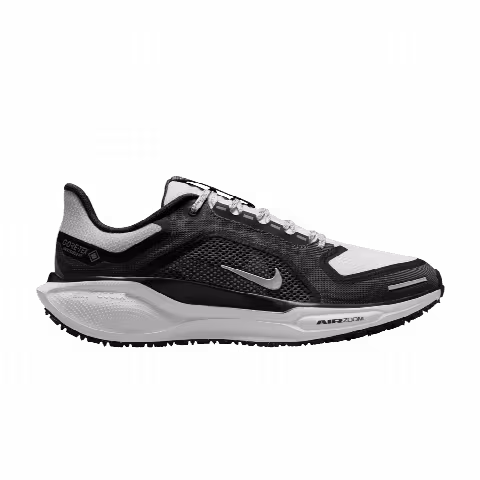 Nike Wmns Air Zoom Pegasus 41 GORE-TEX 'Black Iron Grey'