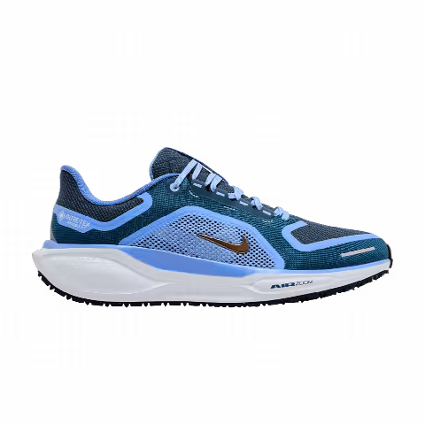 Nike Wmns Air Zoom Pegasus 41 GORE-TEX 'Cobalt Bliss'