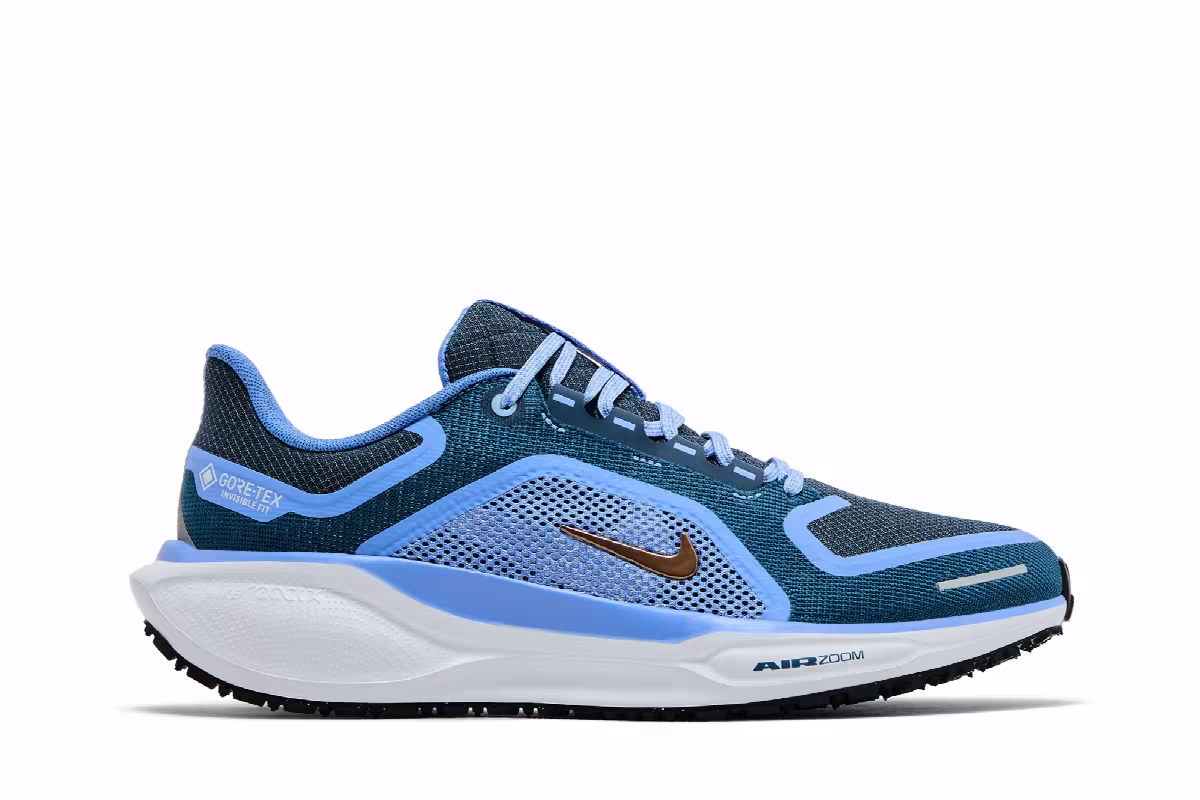 Nike Women's Air Zoom Pegasus 41 GORE-TEX Cobalt Bliss, view 2