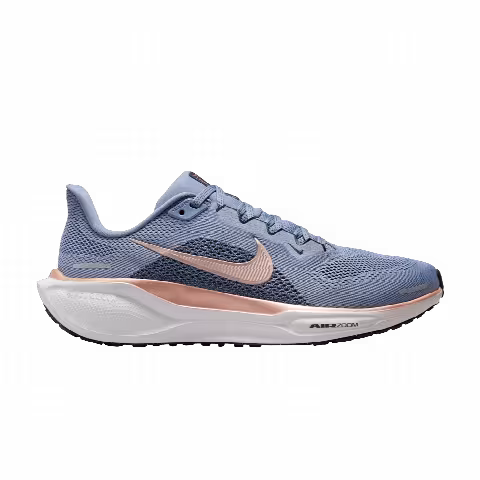 Nike Wmns Air Zoom Pegasus 41 'Ashen Slate Metallic Red Bronze'