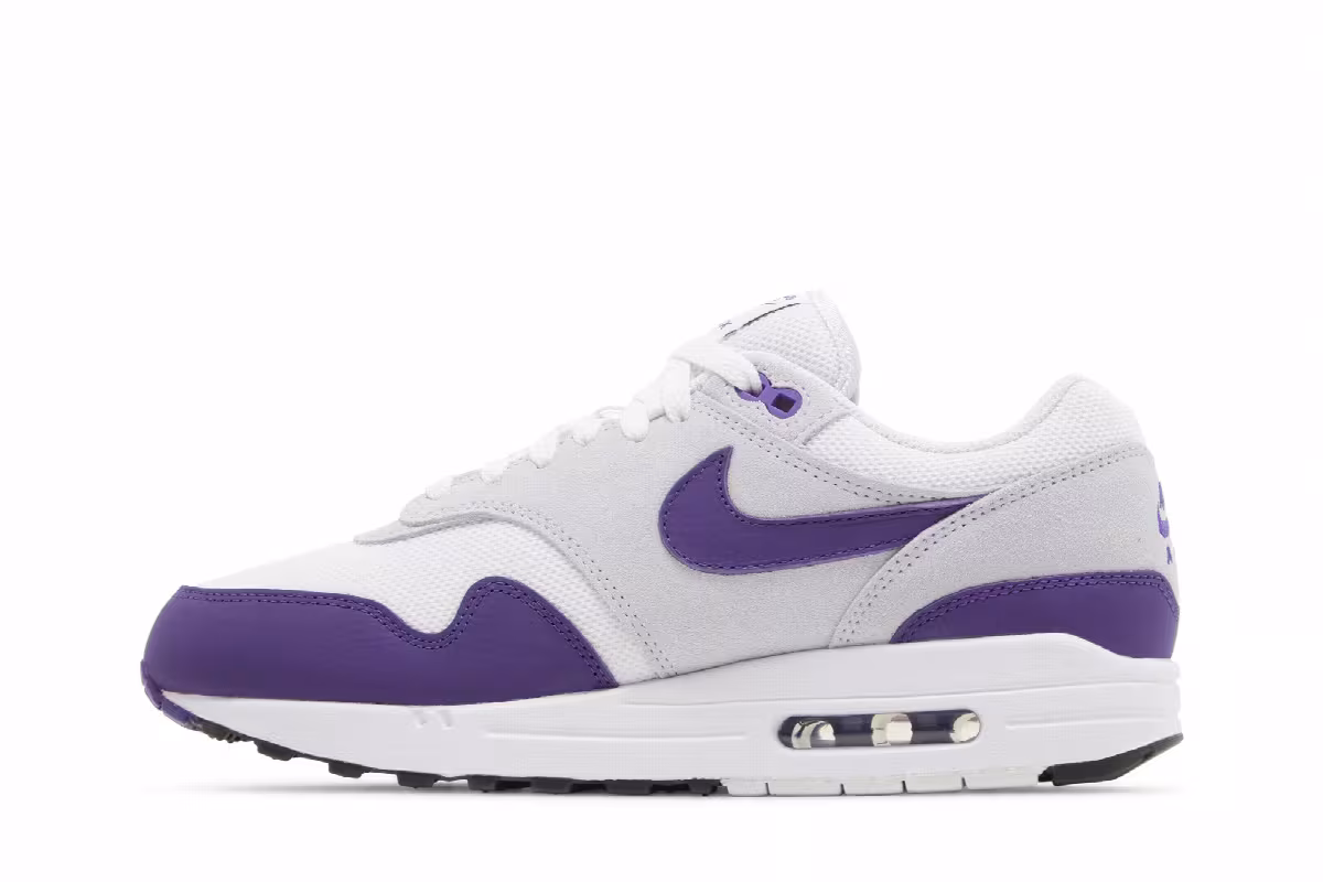 Nike Air Max 1 SC Field Purple, view 4