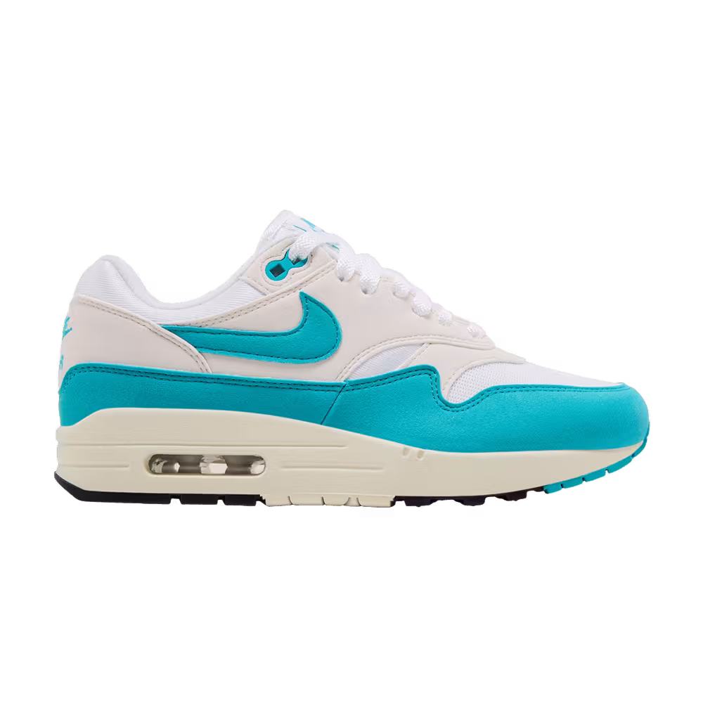 Nike Women's Air Max 1 Dusty Cactus