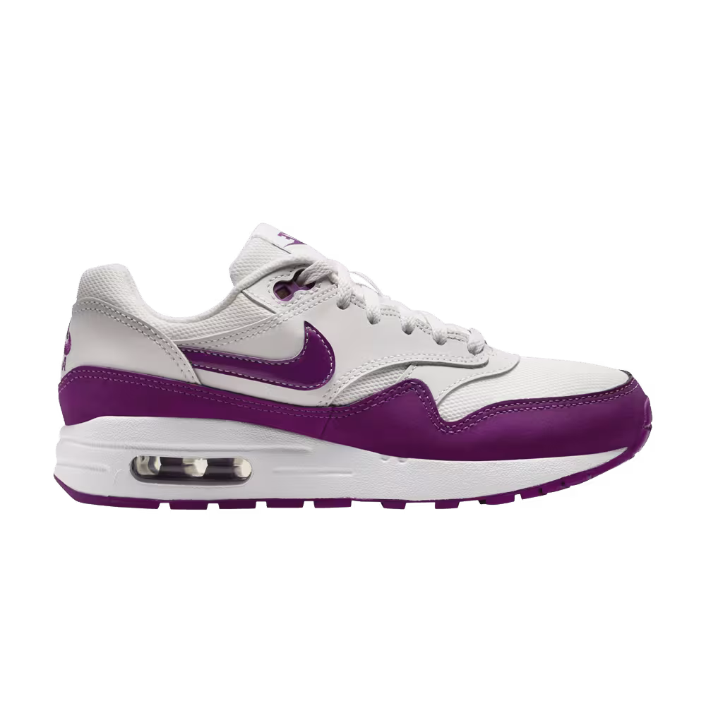 Nike Air Max 1 GS White Viotech