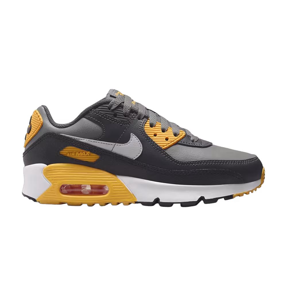Nike Air Max 90 GS Smoke Grey/Anthracite/White/Light Smoke Grey