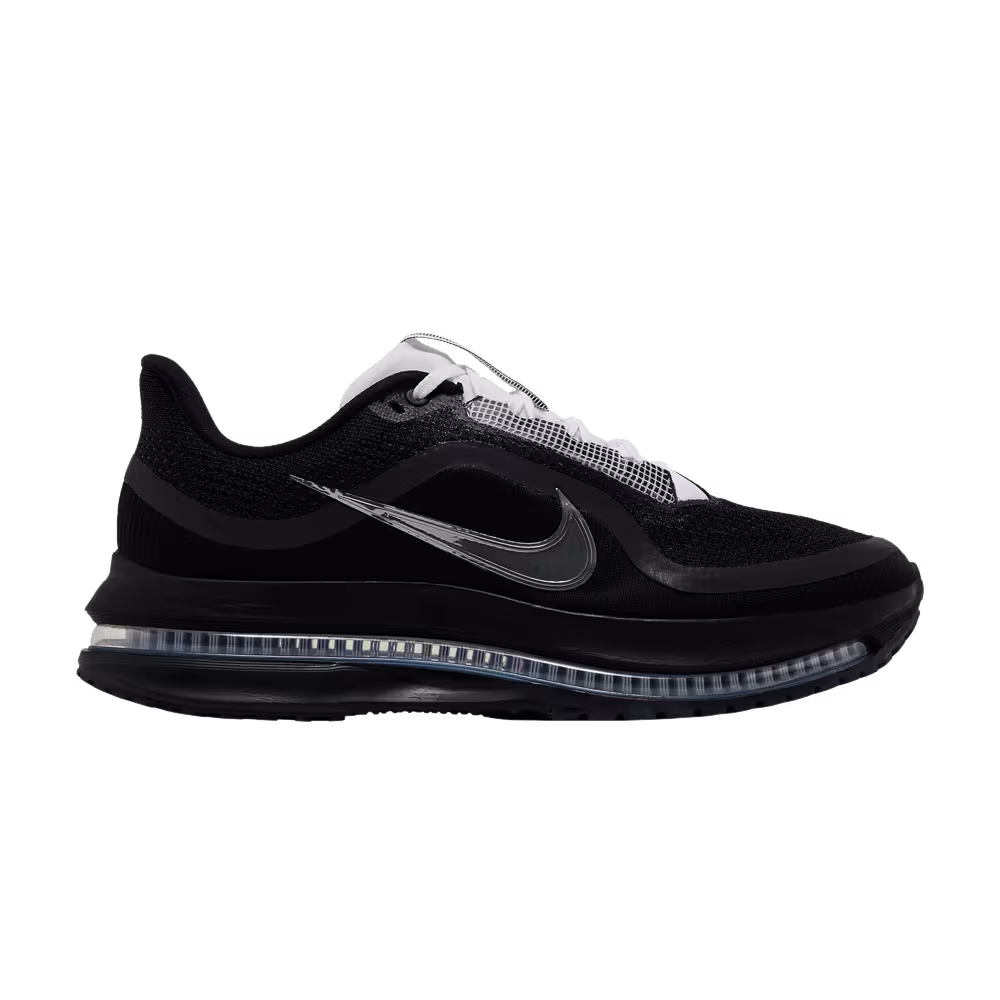 Nike Pegasus Premium SP Black Metallic Silver