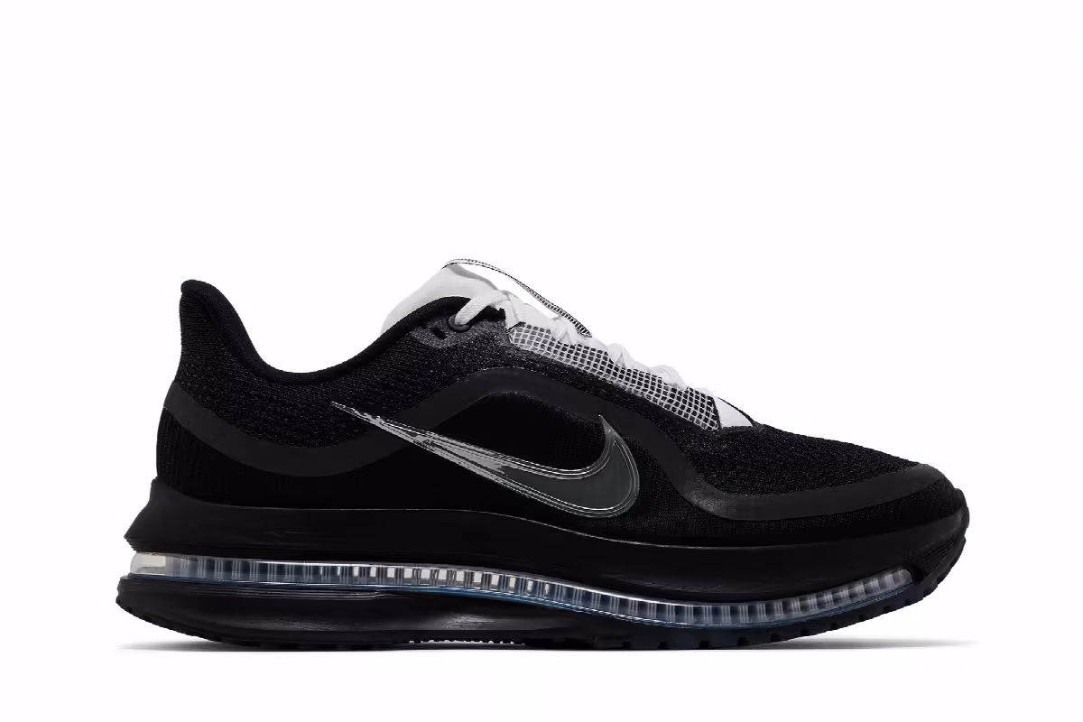 Nike Pegasus Premium SP Black Metallic Silver, view 2