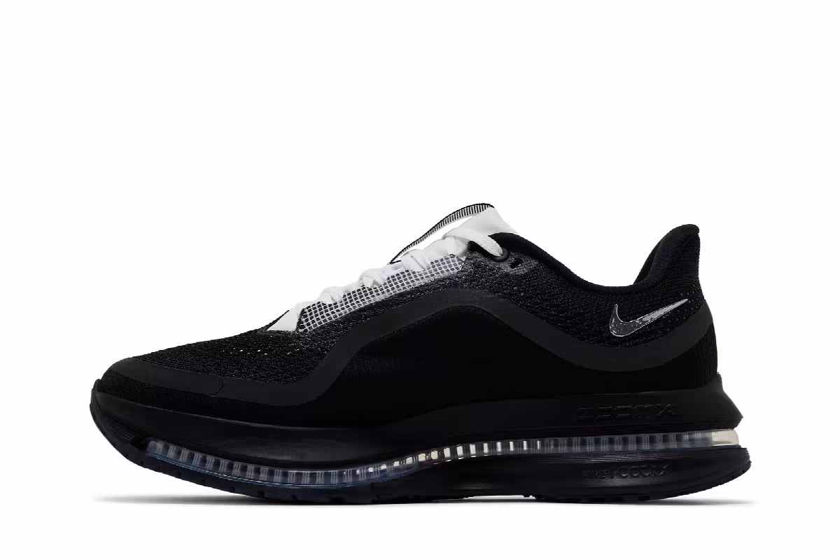 Nike Pegasus Premium SP Black Metallic Silver, view 4