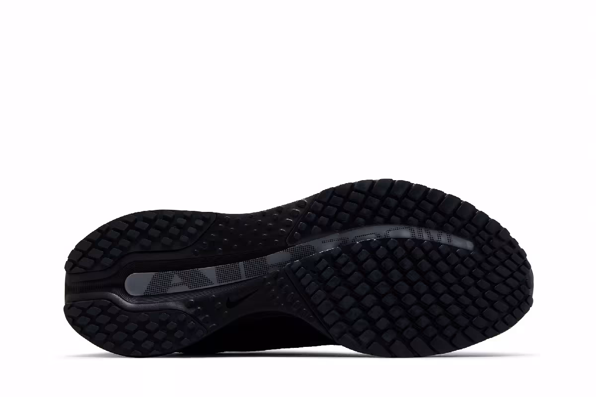 Nike Pegasus Premium SP Black Metallic Silver, view 5