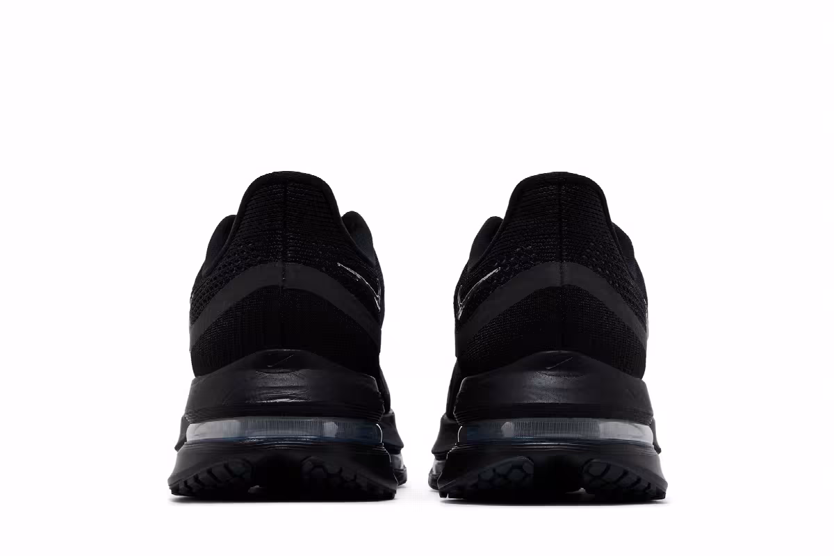 Nike Pegasus Premium SP Black Metallic Silver, view 7