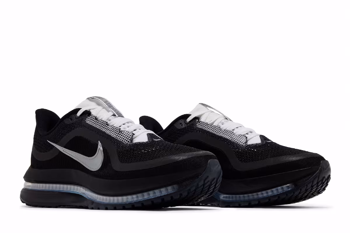 Nike Pegasus Premium SP Black Metallic Silver, view 9