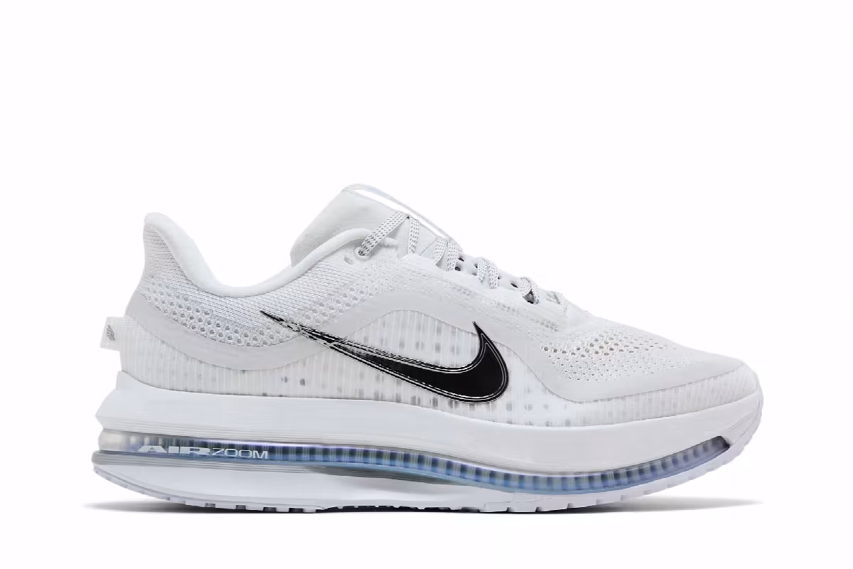 Nike Pegasus Premium White Metallic Silver, view 2