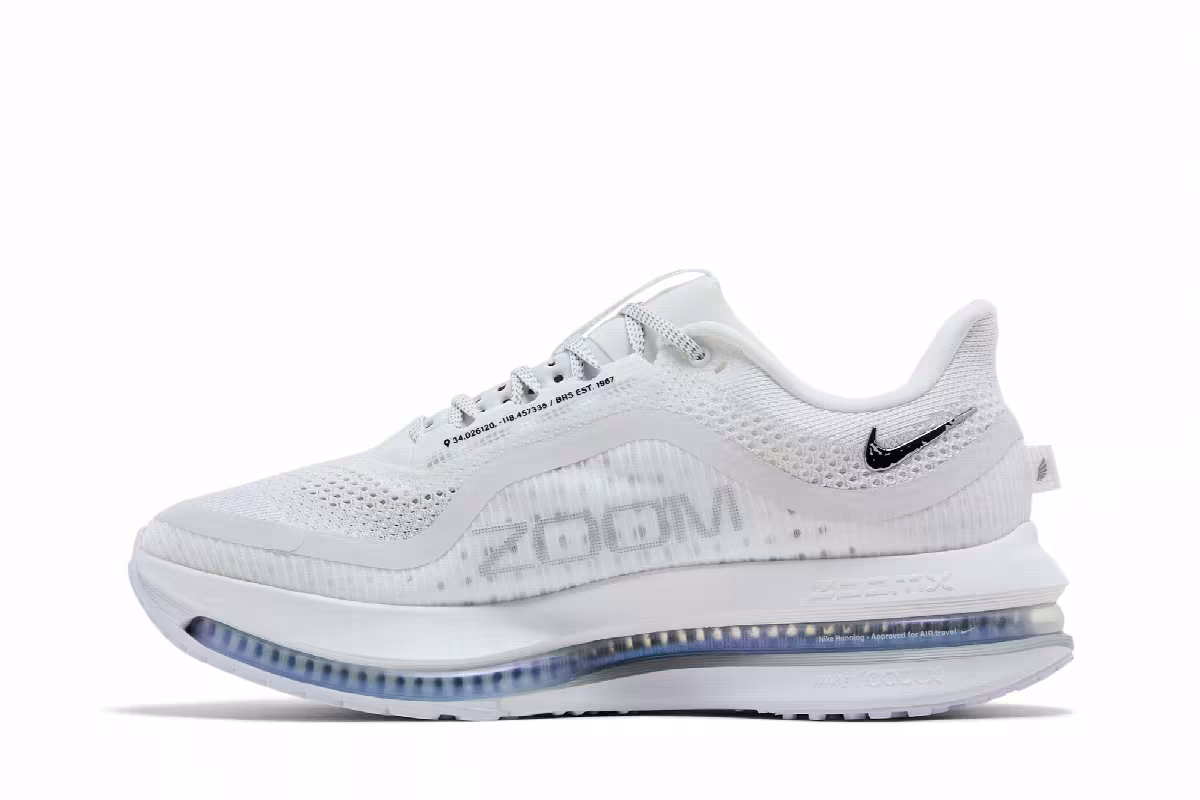 Nike Pegasus Premium White Metallic Silver, view 4
