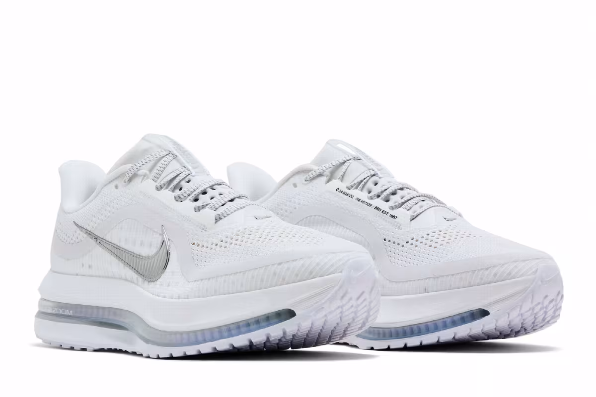 Nike Pegasus Premium White Metallic Silver, view 9