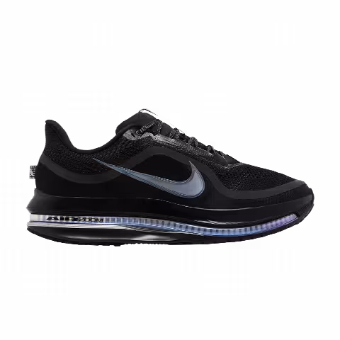 Nike Pegasus Premium 'Black Metallic Silver'