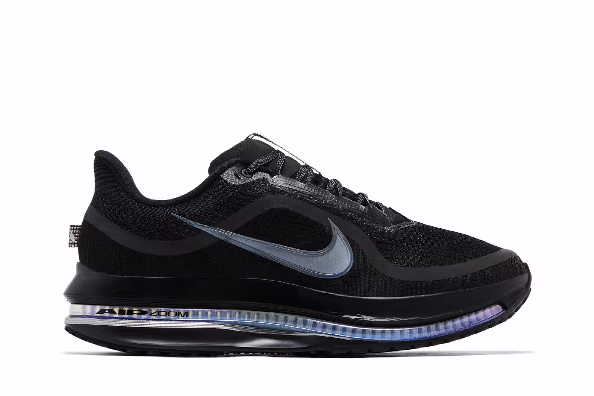 Nike Pegasus Premium Black Metallic Silver, view 2
