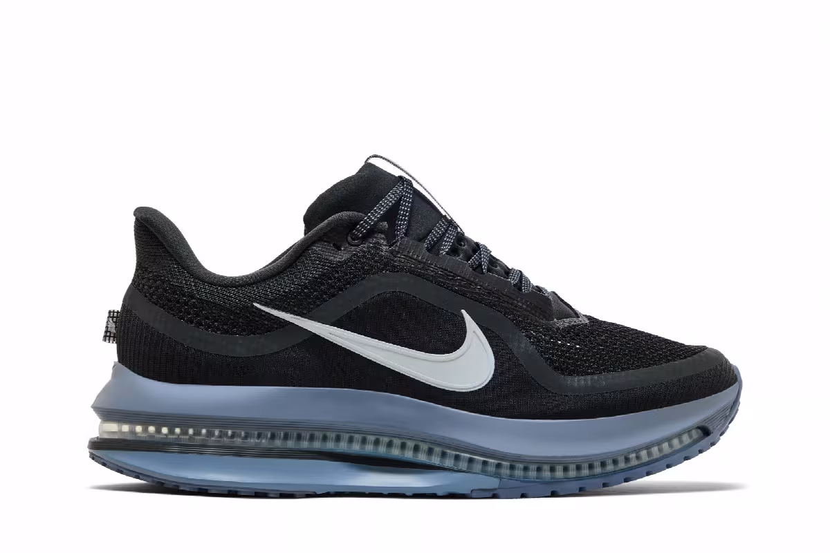 Nike Pegasus Premium Anthracite, view 2